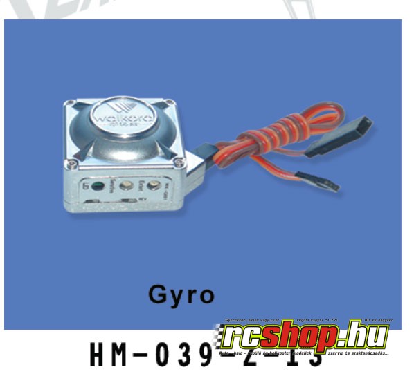 hm_039_z_13_gyro.jpg